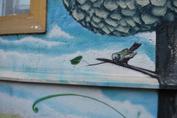DSC_0142 Kopie