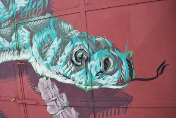DSC_0255 Kopie